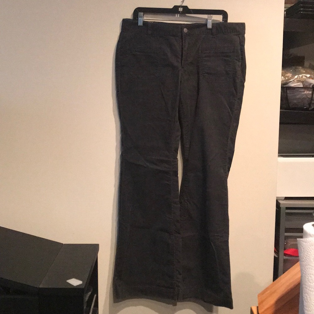 Ann Taylor Loft modern flare grey cords